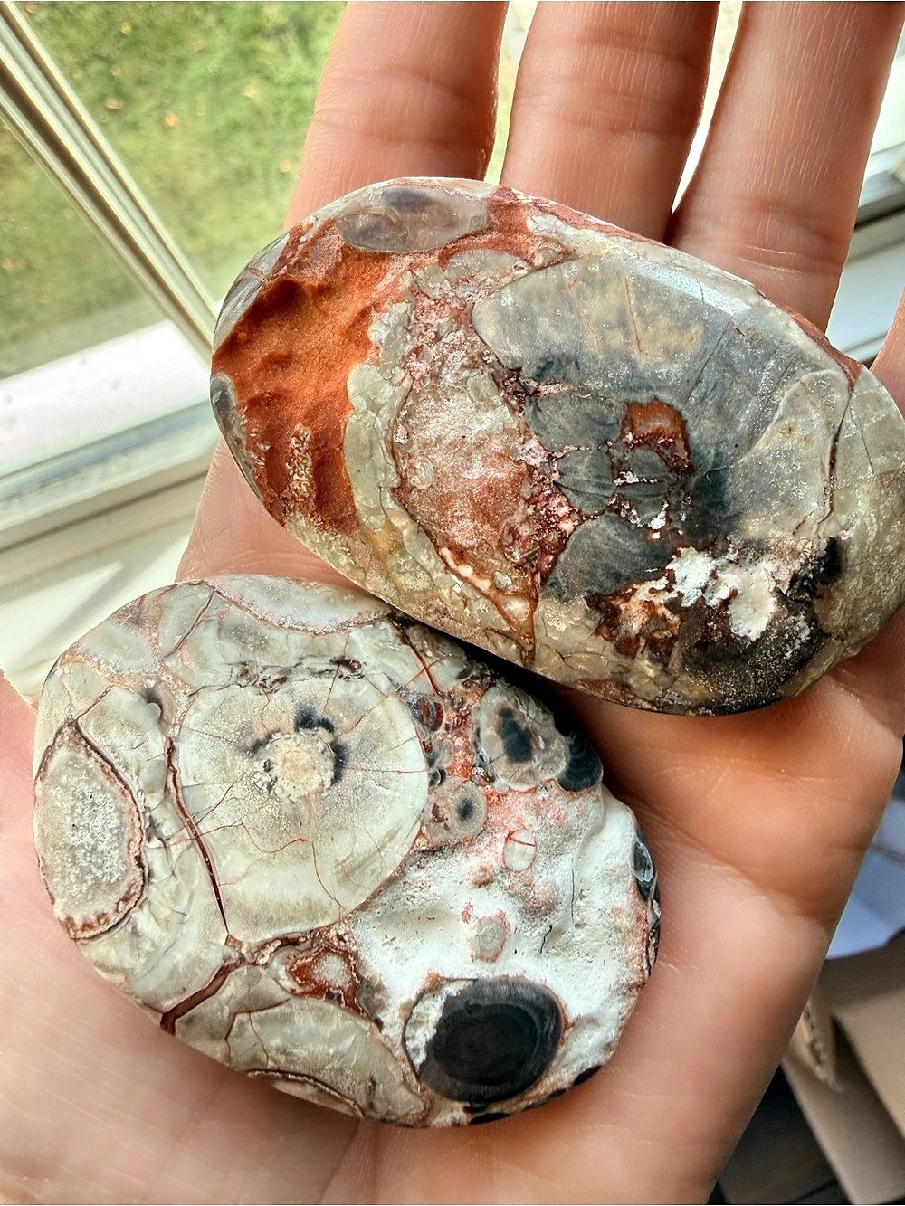 Ocean Jasper Palm Stone Decorative Stones